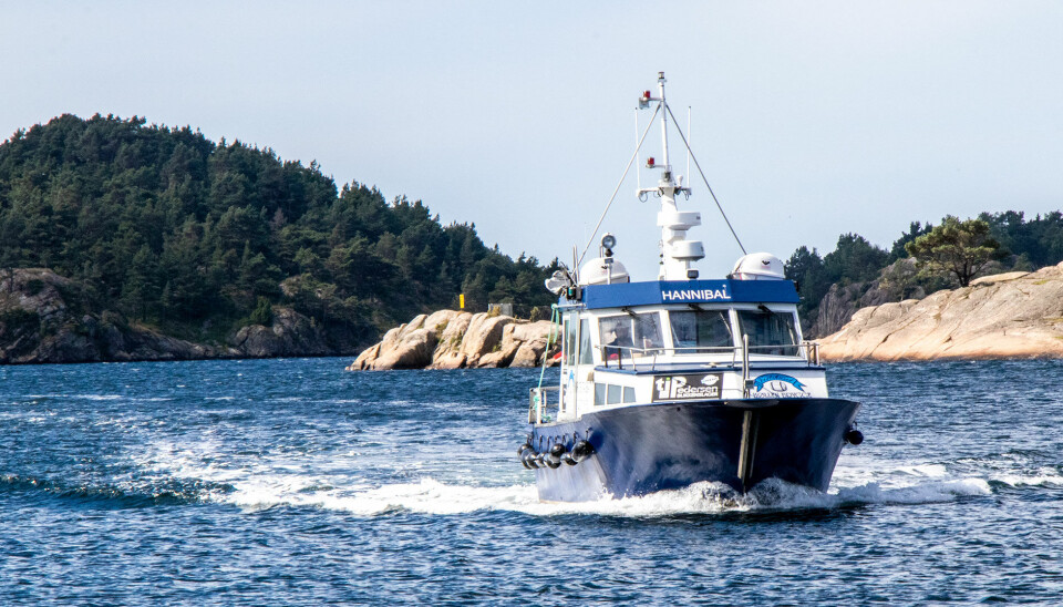«Hannibal» med kapasitet til 30 passasjerer er hovedfartøyet på rutekjøringen i Søgne-skjærgården i dag. «Hannibal» med kapasitet til 30 passasjerer er hovedfartøyet på rutekjøringen i Søgne-skjærgården i dag.