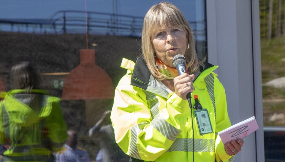 Anette Aanesland er direktør i Nye Veier AS. Anette Aanesland er direktør i Nye Veier AS.