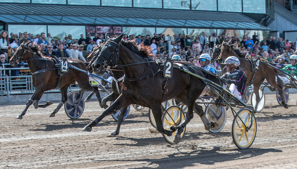 Øystein Tjomsland-trente Kit Crown og kusk Ulf Ohlsson på vei mot seier i finalen av Diamantstoet. Øystein Tjomsland-trente Kit Crown og kusk Ulf Ohlsson på vei mot seier i finalen av Diamantstoet.