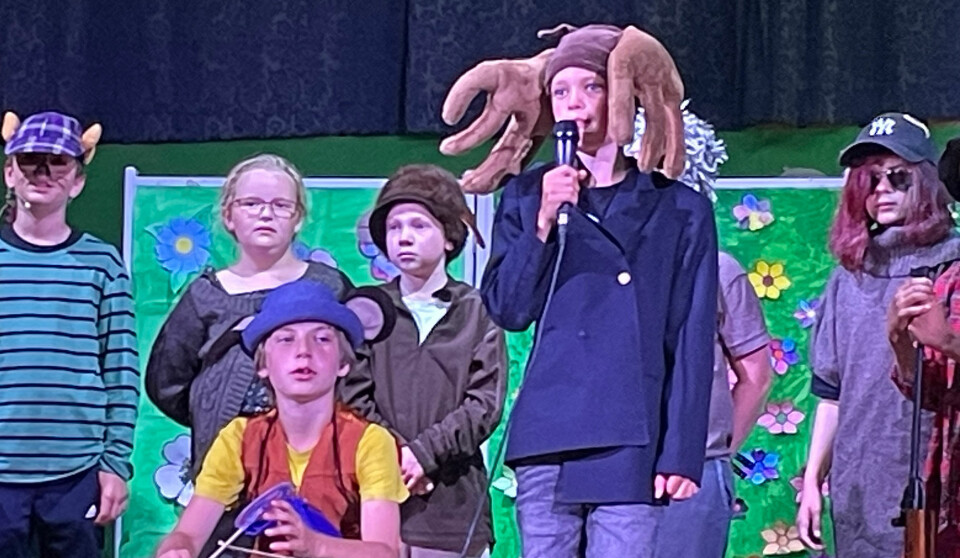 Sommerfesten på Rosseland skole