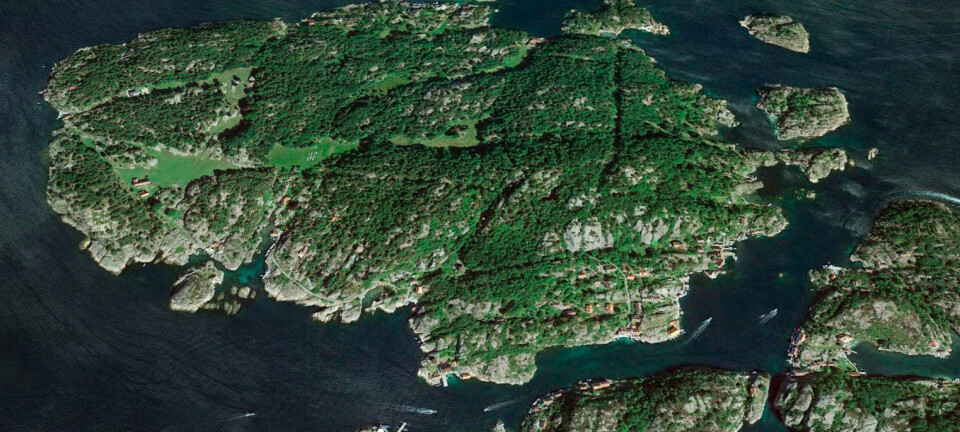 Vil etablere branngater i Ny-Hellesund