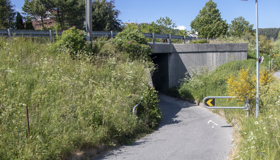 Ny undergang under Hølleveien er ett av tiltakene i delprosjektet som har fått planleggingsmidler i 2023.