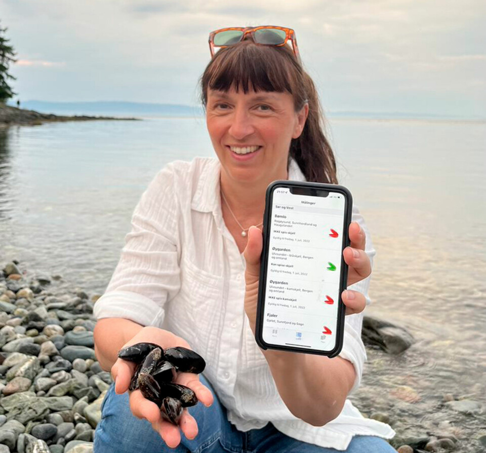 Husk å bruke Mattilsynets Blåskjellapp i sommer. Den blir oppdatert ukentlig. På bildet spesialinspektør Merete Hestdal i Mattilsynet som viser frem hvordan appen ser ut.
