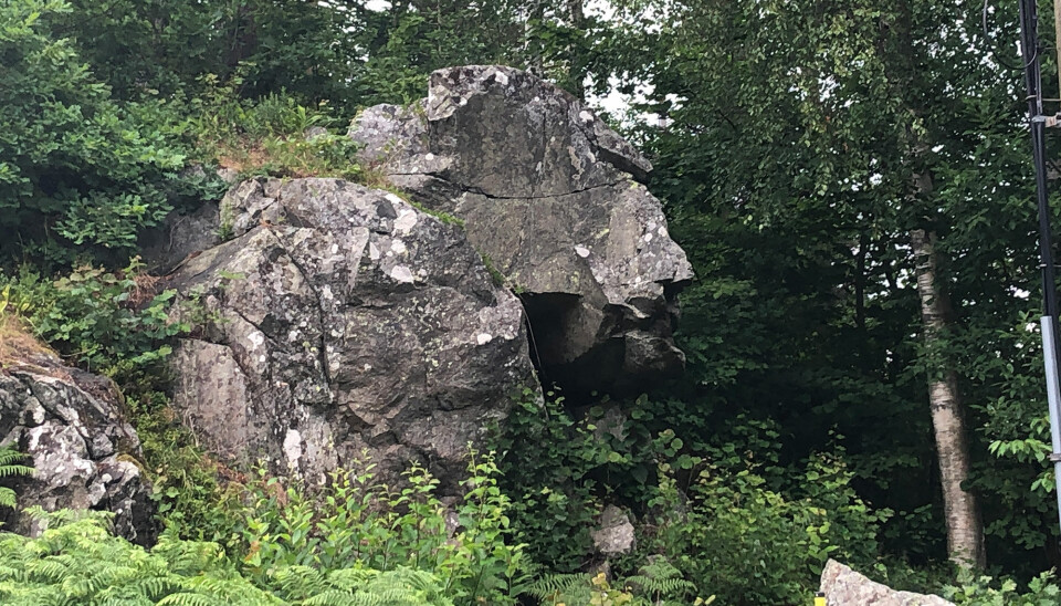 Tar du turen ut på Vesterøya, vil du få øye på «Ansiktet» på fjellnabben like etter at du har passert stikkveien ned til Alsviga brygge. Tar du turen ut på Vesterøya, vil du få øye på «Ansiktet» på fjellnabben like etter at du har passert stikkveien ned til Alsviga brygge.