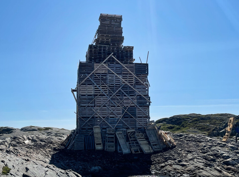 Årets bål er 15,5 meter.