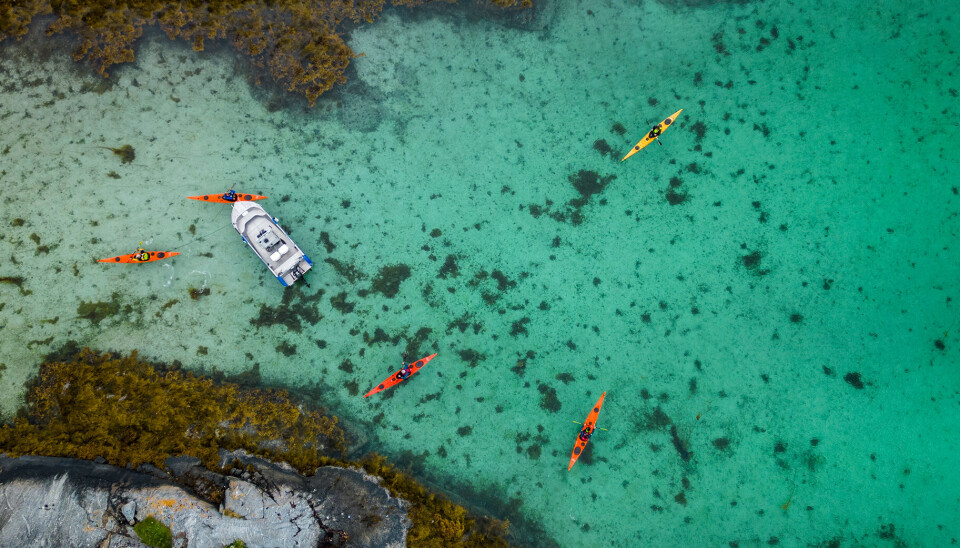 Flekkerøy Bølgepadlere i vakker natur på Helgelandskysten.