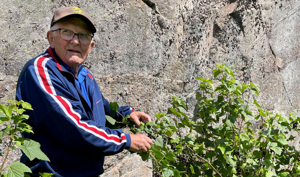Jørgen Tofte har uten tvil «grønne fingre».