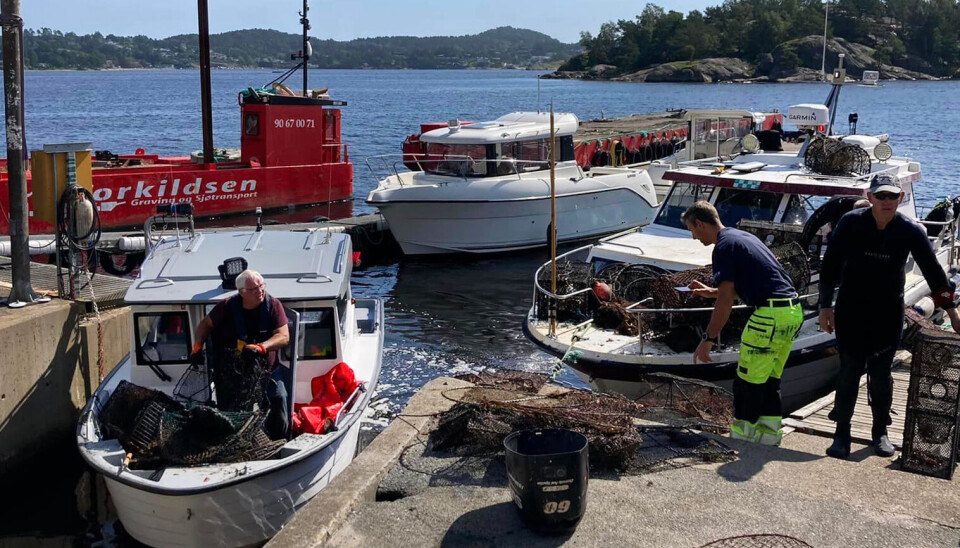 Søndag formiddag hentet de frivillige opp 47 spøkelsesredskap fra Holskogkilen. Her er de på Høllen vest hvor redskapen blir dokumentert og lagt i container. Søndag formiddag hentet de frivillige opp 47 spøkelsesredskap fra Holskogkilen. Her er de på Høllen vest hvor redskapen blir dokumentert og lagt i container.