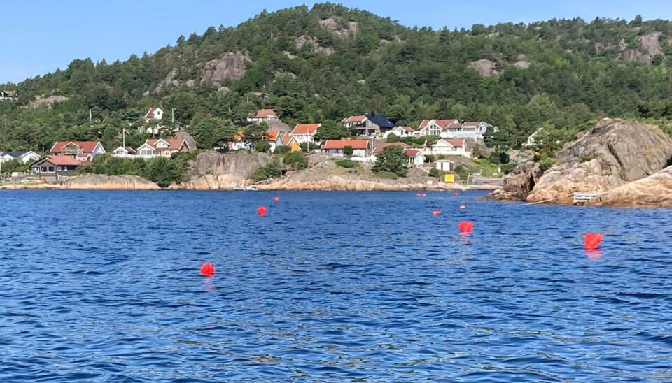 Mange ballonger med redskap i Holskogkilen søndag formiddag. Mange ballonger med redskap i Holskogkilen søndag formiddag.