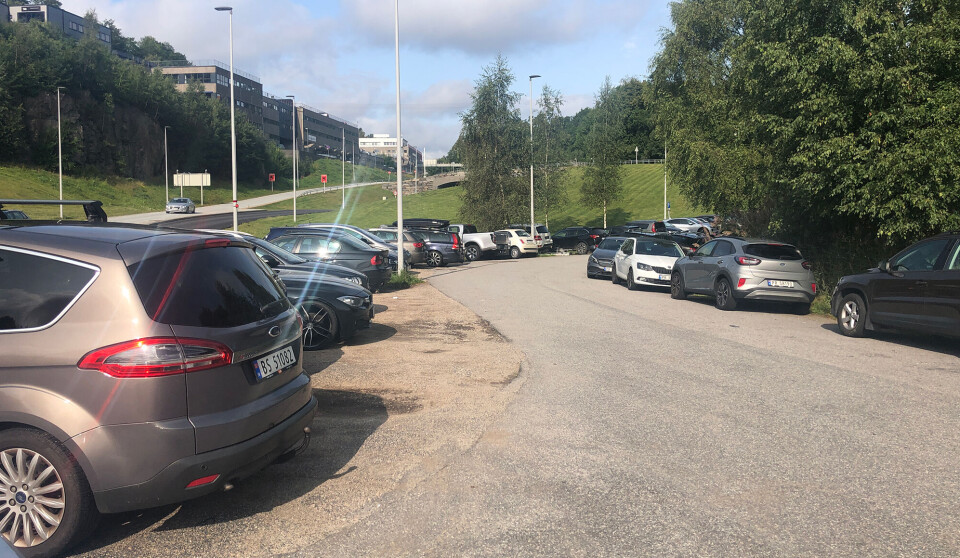 Fri dagsparkering: I Hannevika var det smekkfullt tirsdag