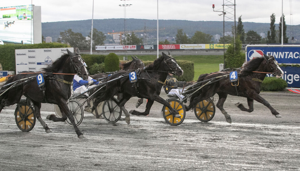 Øystein Tjomsland-trente Bjørli Bolt (nr. 4) forsvarer seg helhjertet fra tet og vinner sitt kvalifiseringsløp til Norsk Travkriterium sammen med kusk Tom Erik Solberg. Bjørli Bolt er en av totalt 13 hester Tjomsland har kvalifisert til finalene i de pengestinne Klasseløpene på Bjerke Travbane 9. og 10. september.