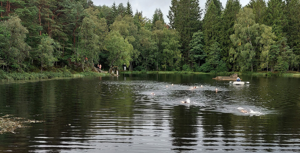 Svømmeetappen over Eiketjønna.