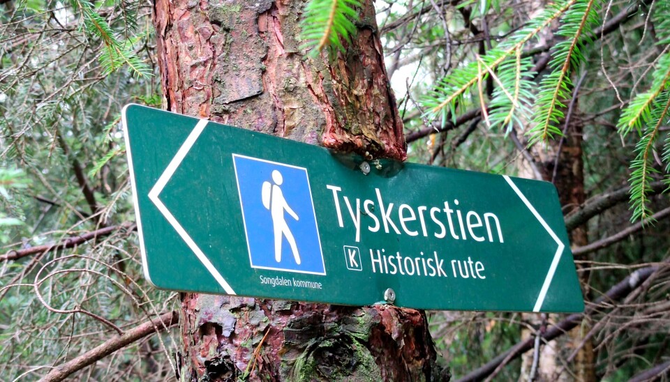 Busteinen - nytt turforslag fra Jostein og Arnfinn