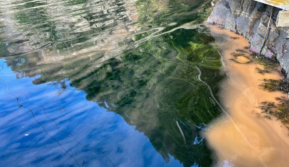 – Dette er ikke utslipp, skriver Havforskningsinstituttet (HI).