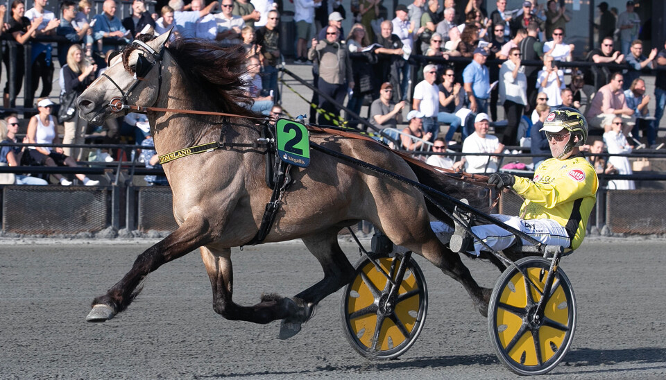 Brenne Borkens Derby-seier på Bjerke Travbane søndag ettermiddag var Øystein Tjomslands femte strake tittel i storløpet. Med det er sørlendingen historisk. Brenne Borkens Derby-seier på Bjerke Travbane søndag ettermiddag var Øystein Tjomslands femte strake tittel i storløpet. Med det er sørlendingen historisk.