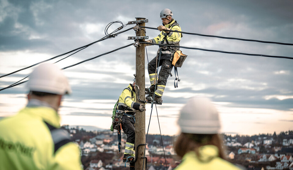 Nettleien går til å drifte strømnettet på en sikker og effektiv måte, og brukes i hovedsak til utbygging og vedlikehold.