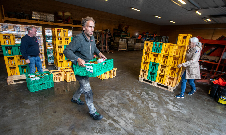– Det var da veldig til bilder du tar, sa Terje Abrahamsen fra Sangvik som fikk med seg 162 flasker eplemost torsdag ettermiddag. Bodil og Per Try bidrar med telling og bæring.