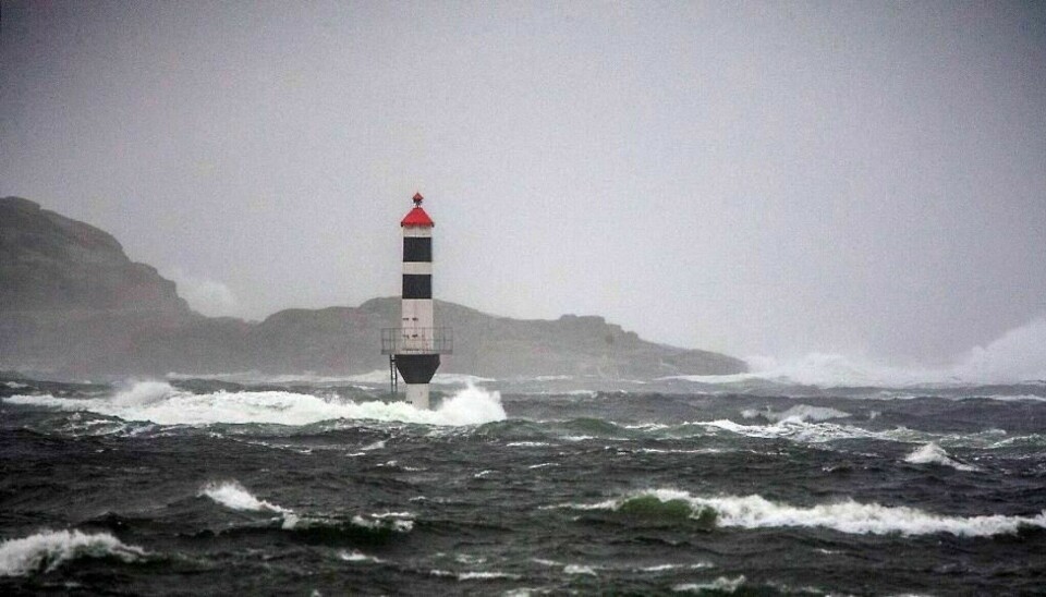 Vindfull fredag for hummerfiskerne