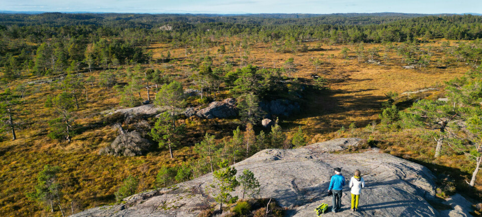 Masse «smør» på Smørheia