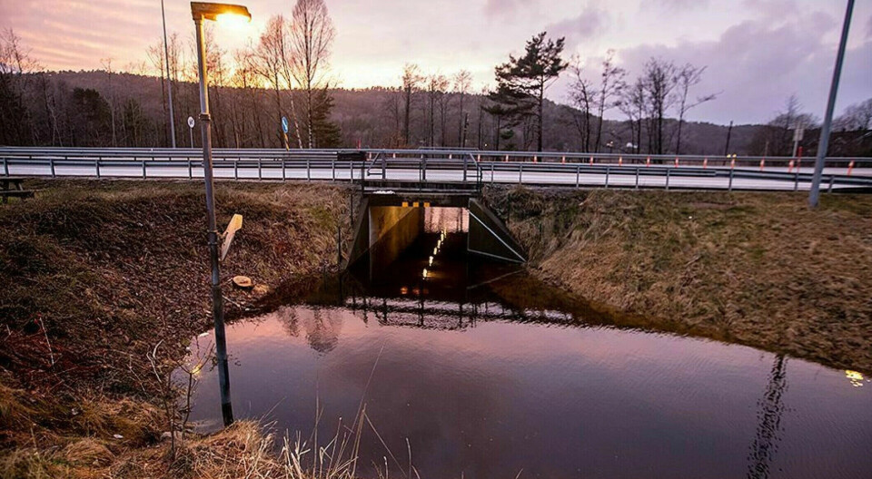 Undergangen ved Brennåsen.