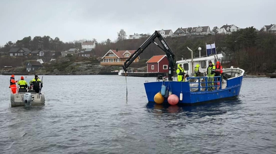 Sjøspeidere fra Flekkerøy i aksjon nyttårsaften.