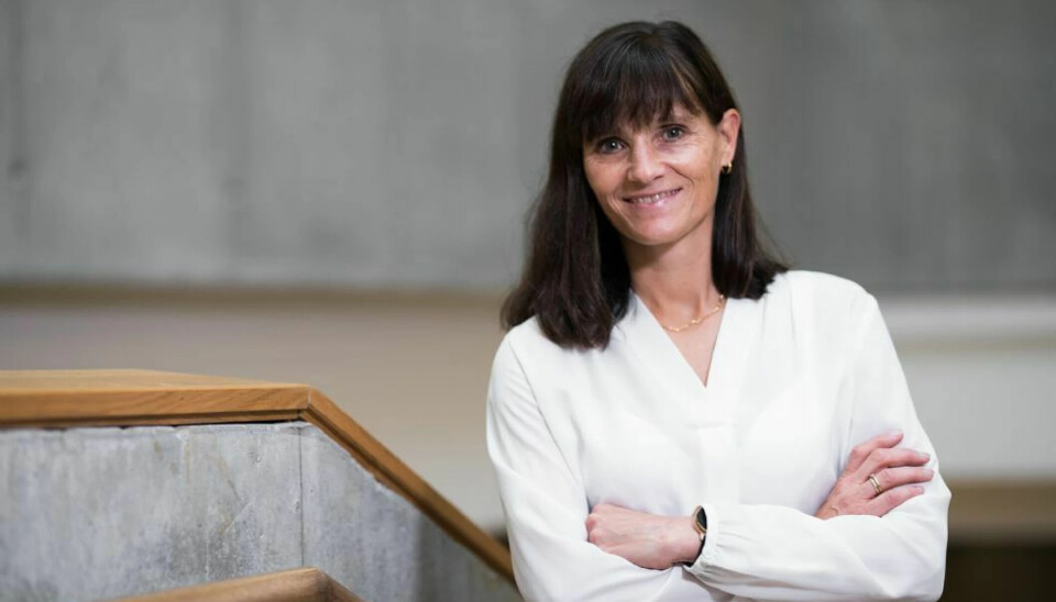 Oppvekstdirektør Kristin Eidet Robstad vil øke bemanningen i barnehagene med 17,3 millioner i 2025.