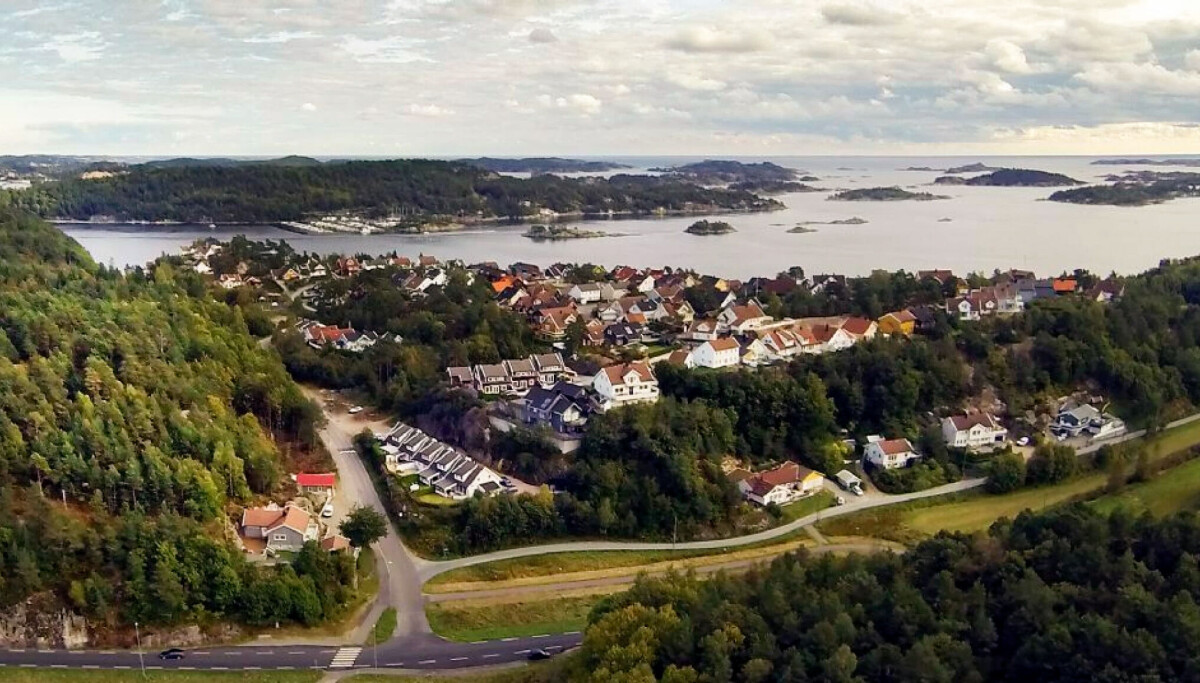 «Honnør og replikk til Odd Nordmo»