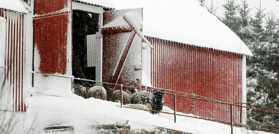 Snøvær gjennom helgen, så kommer mildværet
