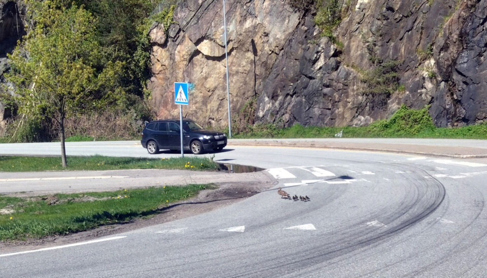 Nyhetsloggen: 2023 - august 2024