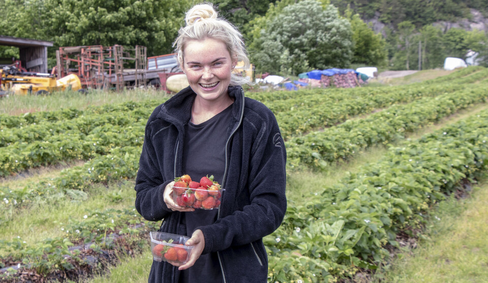 Nora Try med årets første jordbær fra Stauslandstunet.