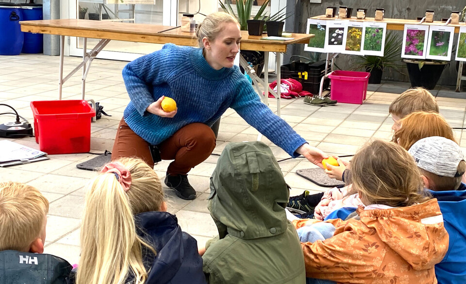 Elever fra 1. klasse på Langenes skole undervises. Ida Jøssang er formidlings koordinator på Naturmuseum og Botanisk hage, og er en stor bidragsyter for at dette prosjektet i det hele tatt ble noe av , skriver artikkelforfatteren.