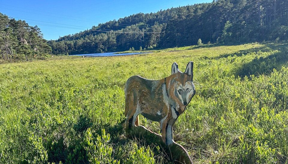 «Dyr i skogen»