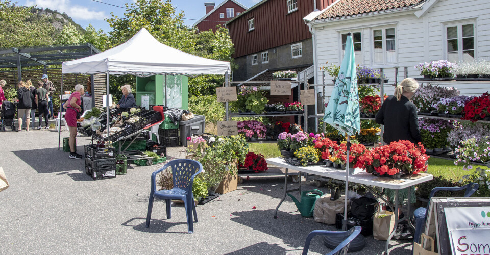 Salgsboder på sommermarkedet.