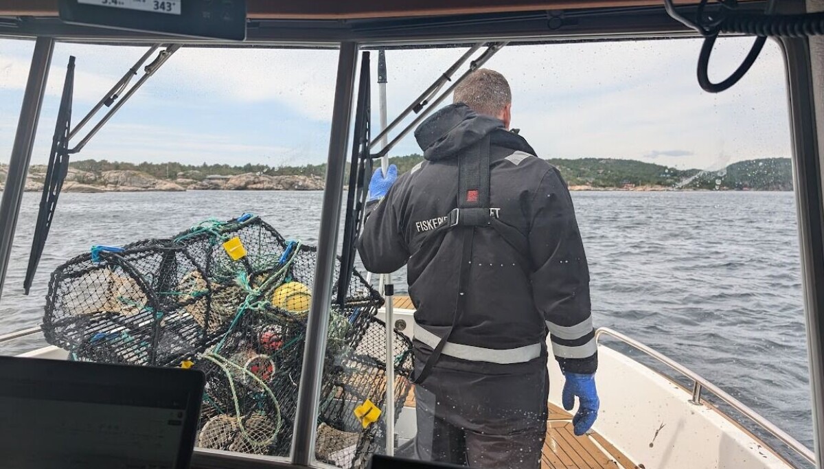 Bare tre teiner var lovlige