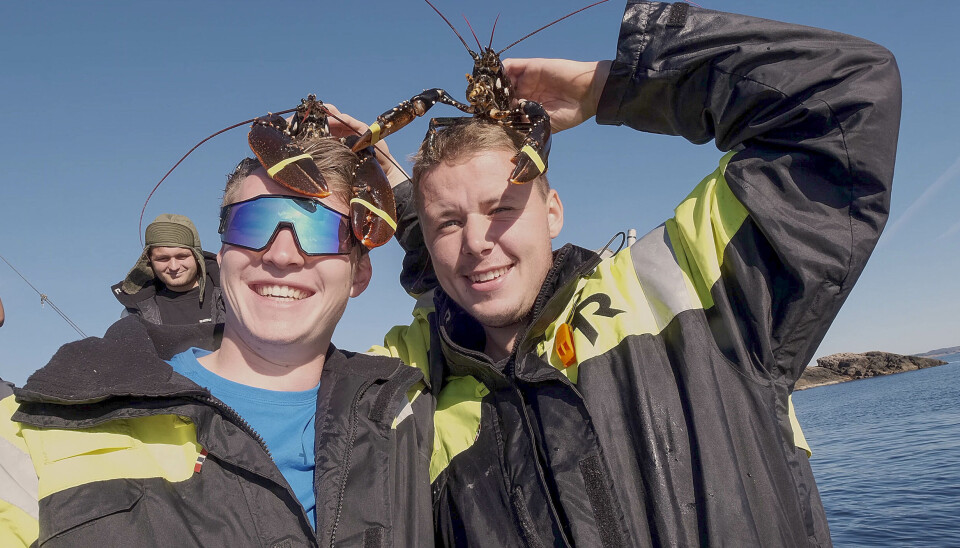 Cato Hetland og Jonas Zahl-Olsen på hummerfiske