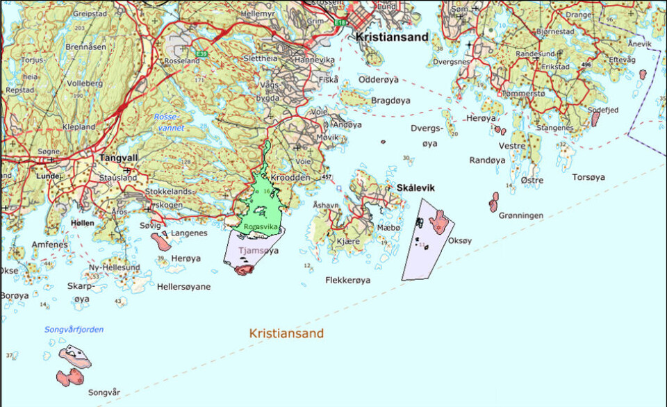 Kartet viser oversikt over områder som kommunedirektøren foreslår vurdert til nye hummerfredningsområder i Kristiansand. Områdene er vist med lilla og rød farge. Grønn flate viser eksisterende hummerfredningsområde i Sandvigdalsbukta.