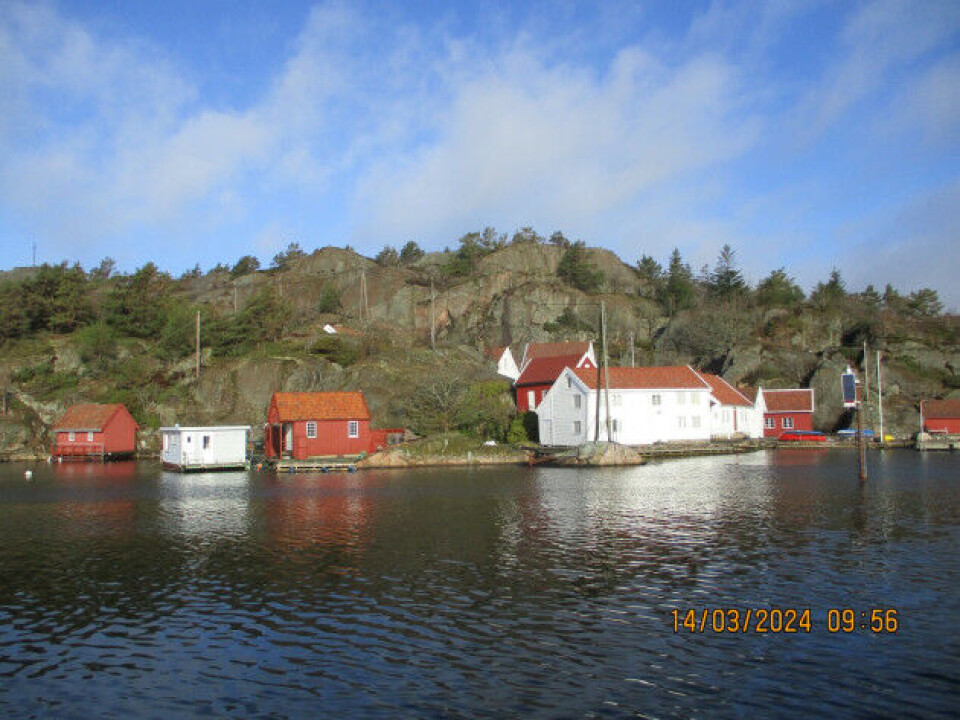 Det er på toppen av knausene bak bebyggelsen det skal hogges branngater