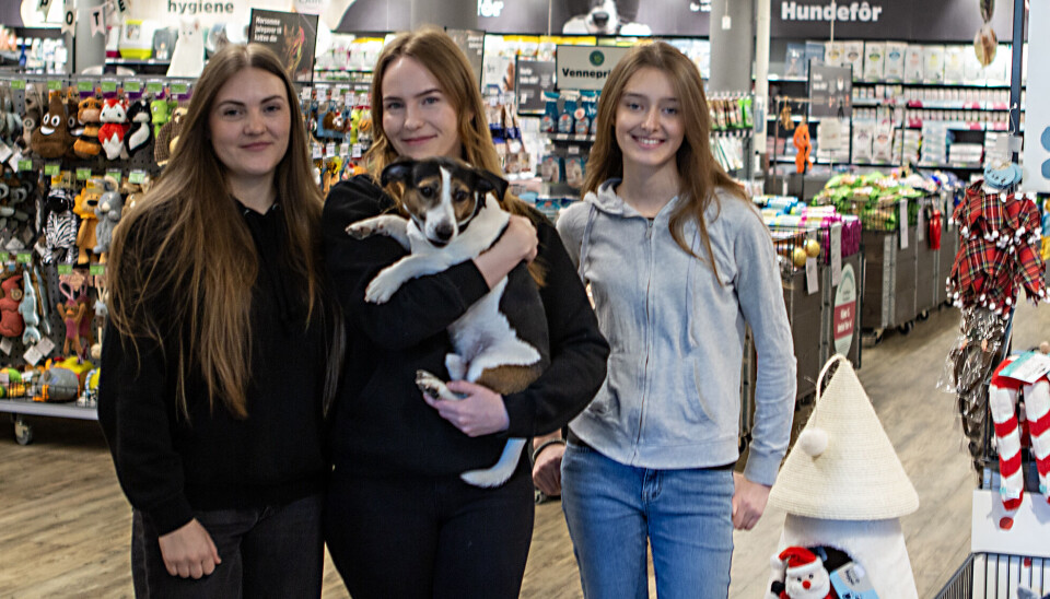 Jentene på Musti Søgne og hunden Ollie inviterer til fellestur lørdag klokken 11.00. Fra venstre butikksjef Mariette Andersen, Anne Fløtten og Emma Oline Muriqi.