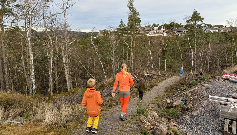 Tora Emilia, Walter, Brede og Aasmund er sammen med Mari Aamodt ute i terrenget på vei til nye stolper i stolperebusen.