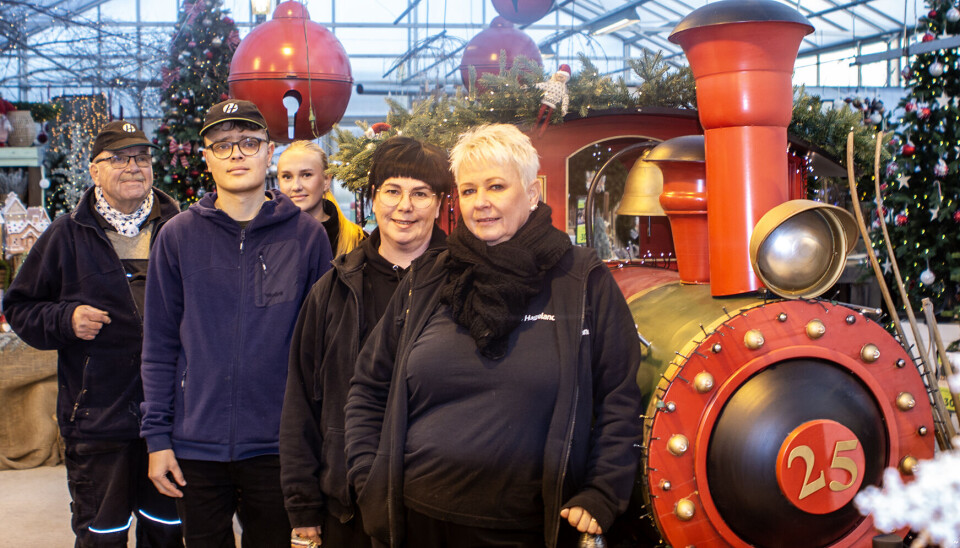 Trine Lia, Anita Sunde, Morten Ås, Selma Olsen og Tormod Olsen var i full sving i morgentimene med å klargjøre julebutikken på Sangvik for åpning.