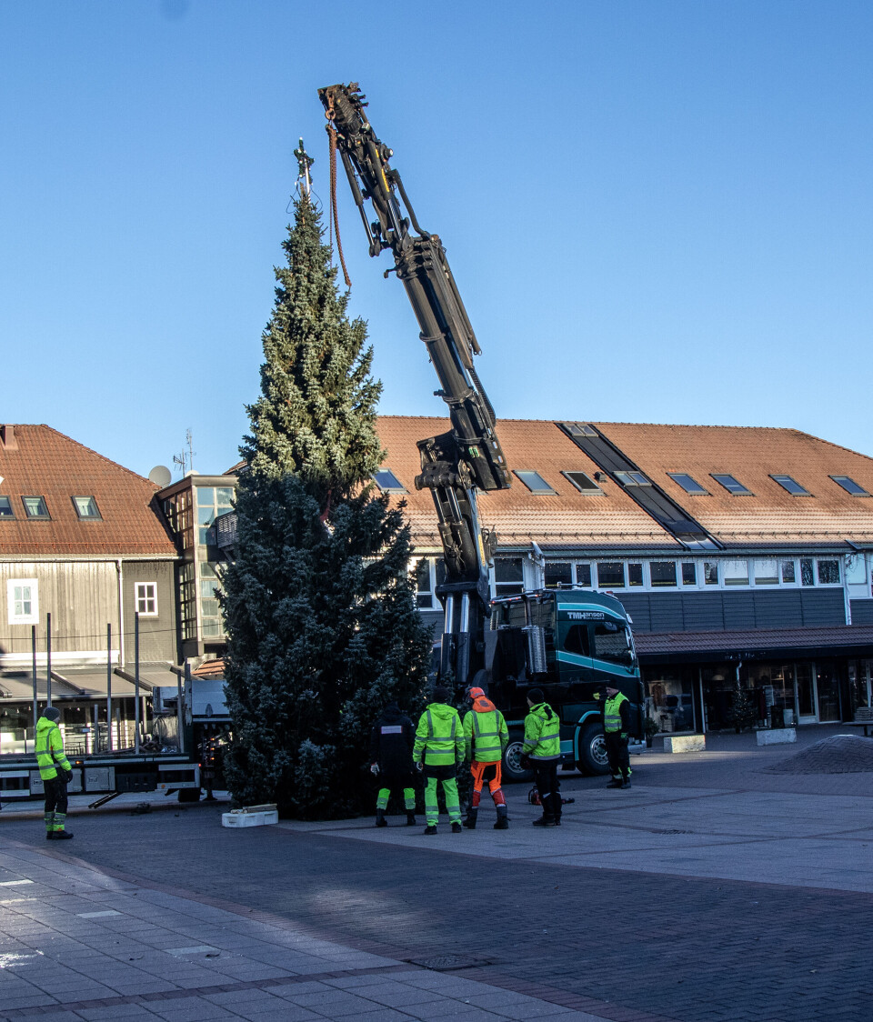 – Rene postkorttreet, mener mannskapene fra Parkvesenet.