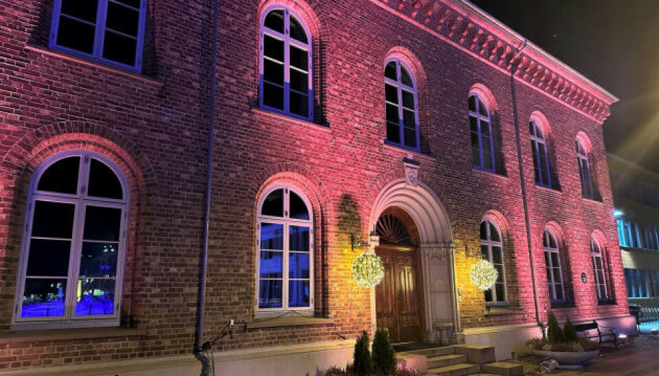 Slik vil Kristiansand kommune markere den internasjonale kampanjen for å bekjempe vold mot kvinner og jenter.