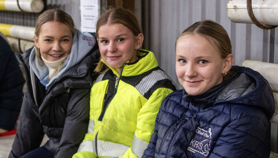 Emma Martinsen, Natalie Flåt og Linnea Ravnberg er konkurranseryttere ved Åros ridesenter og har stor lidenskap for hest.