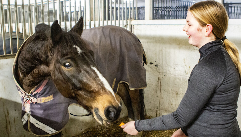 Yva Oline viser stolt frem sin nye hest Barney
