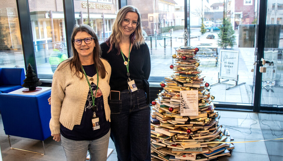 Bibliotekarene Marian Børnes og Katrine Tveito Henriksen har vært med på å konstruere årets bokjuletre, men de vet ikke hvor mange bøker som er benyttet til årets installasjon.