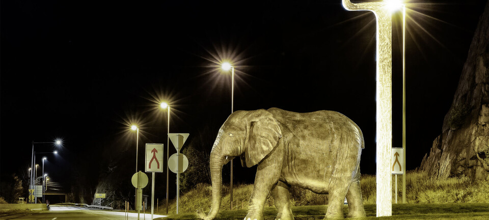 Dukket opp på Klepland søndag