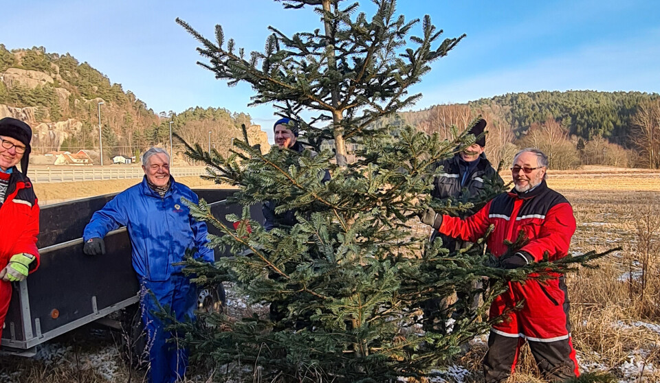 – Spar på juletreet, i alle fall frem til lørdag 11. januar