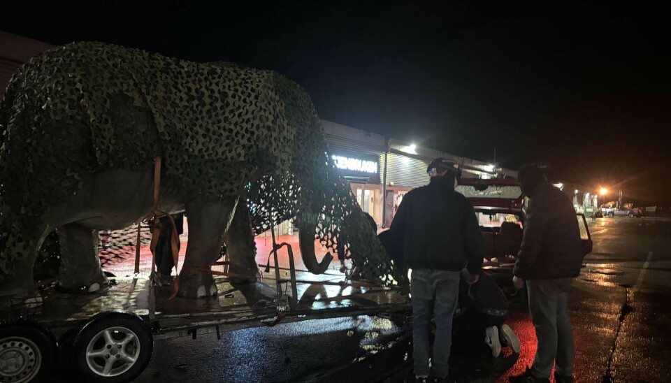 Her monteres elefanten på hengeren utenfor Leos lekeland på Lumber i Vågsbygd.
