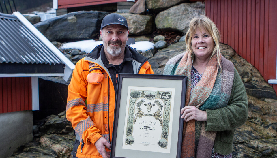 Ekteparet Alf Gunnar Kylland og Aud Irene Klev