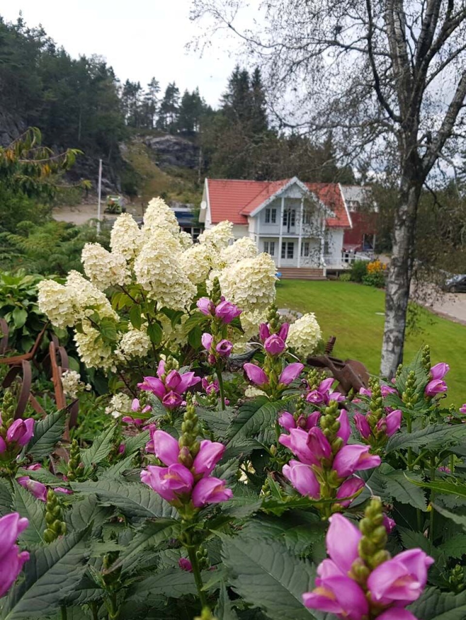 Klev-Kylland gård ligger idyllisk plassert i skogen på Teland i Søgne